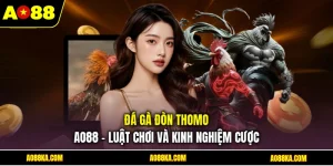 Đá Gà Đòn Thomo AO88 - Luật Chơi Và Kinh Nghiệm Cược