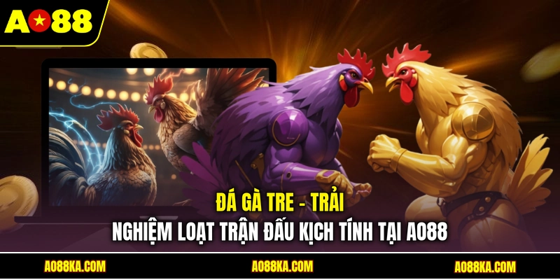 Đá Gà Tre - Trải Nghiệm Loạt Trận Đấu Kịch Tính Tại AO88 1 Đá Gà Tre - Trải Nghiệm Loạt Trận Đấu Kịch Tính Tại AO88
