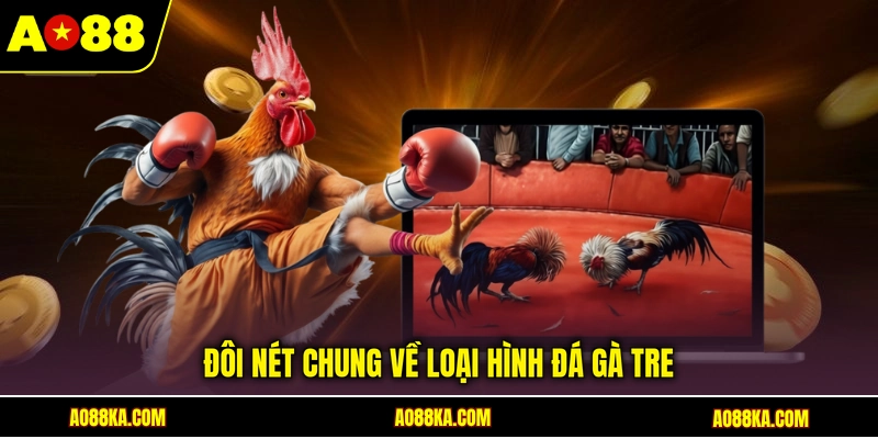 Đá Gà Tre - Trải Nghiệm Loạt Trận Đấu Kịch Tính Tại AO88 2 Đôi nét chung về loại hình đá gà tre