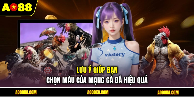 Lưu ý giúp bạn chọn màu của mạng gà đá hiệu quả