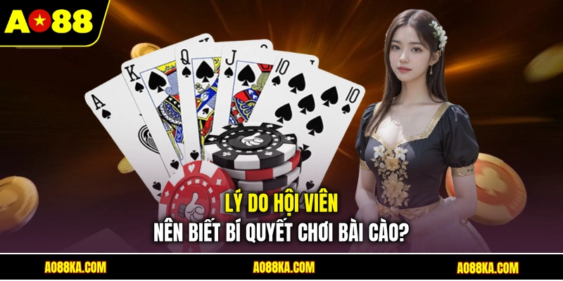 Lý do hội viên nên biết bí quyết chơi bài cào?