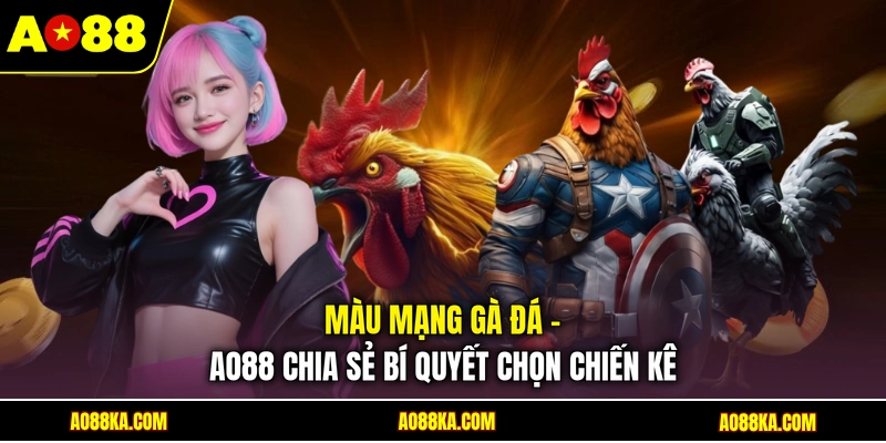 Màu Mạng Gà Đá - AO88 Chia Sẻ Bí Quyết Chọn Chiến Kê